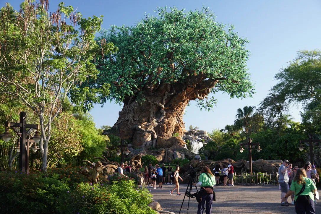 The Tree of Life - Disney's Animal Kingdom